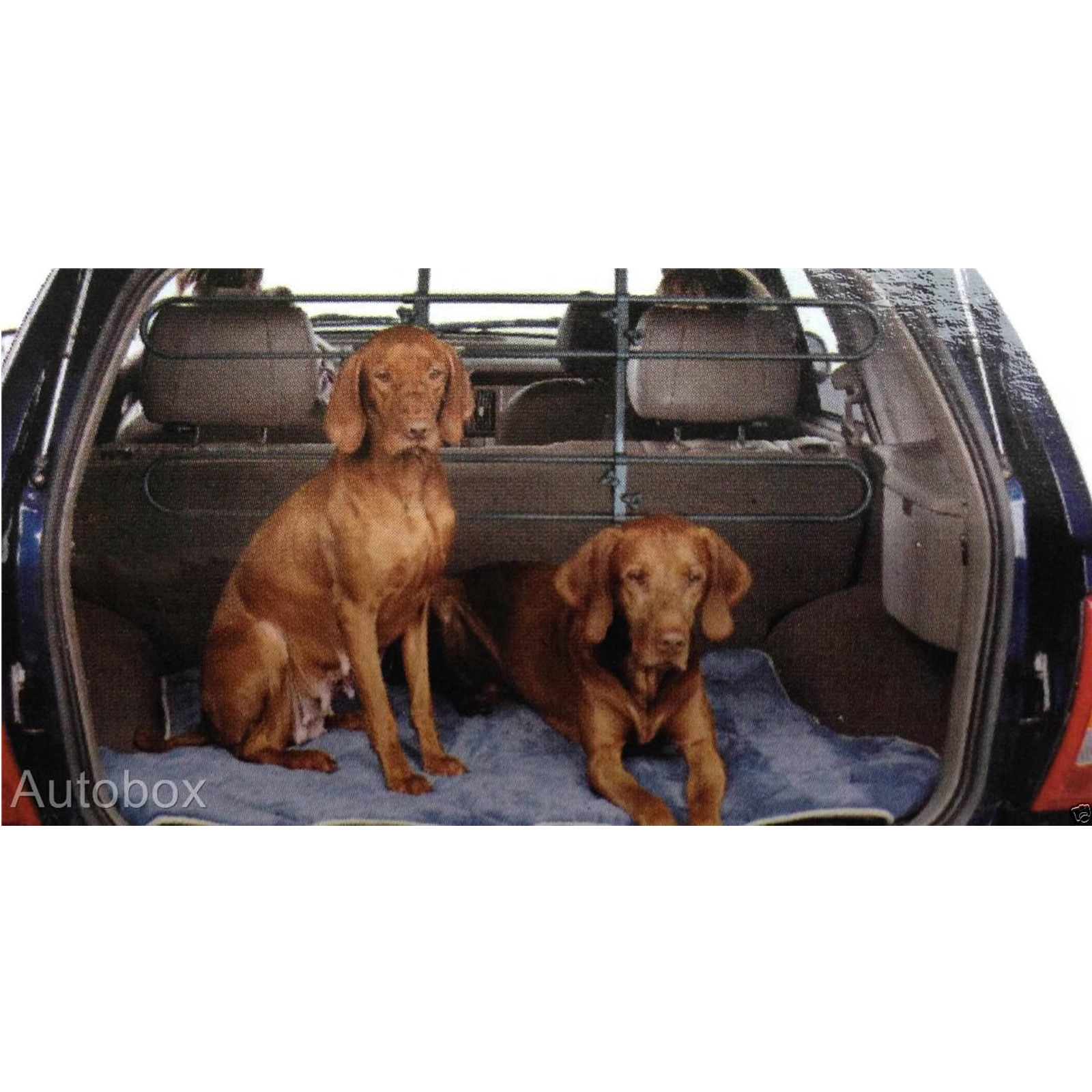 Dog Guard Universal Car Pet Barrier Station Wagon SUV 4WD Hatchback Cargo Mate