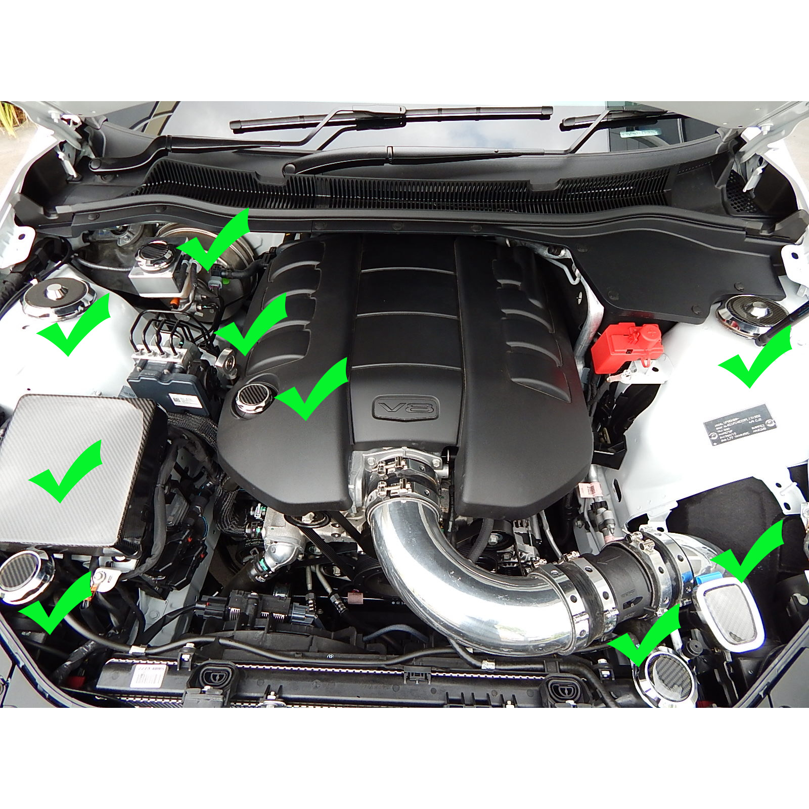 VF Commodore Real Carbon Fibre Show Car Engine Dress Up Kit SS SSV Maloo R8