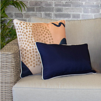 Shimmering Skies 2 Pack of Cushion - Bondi Stylist Selection