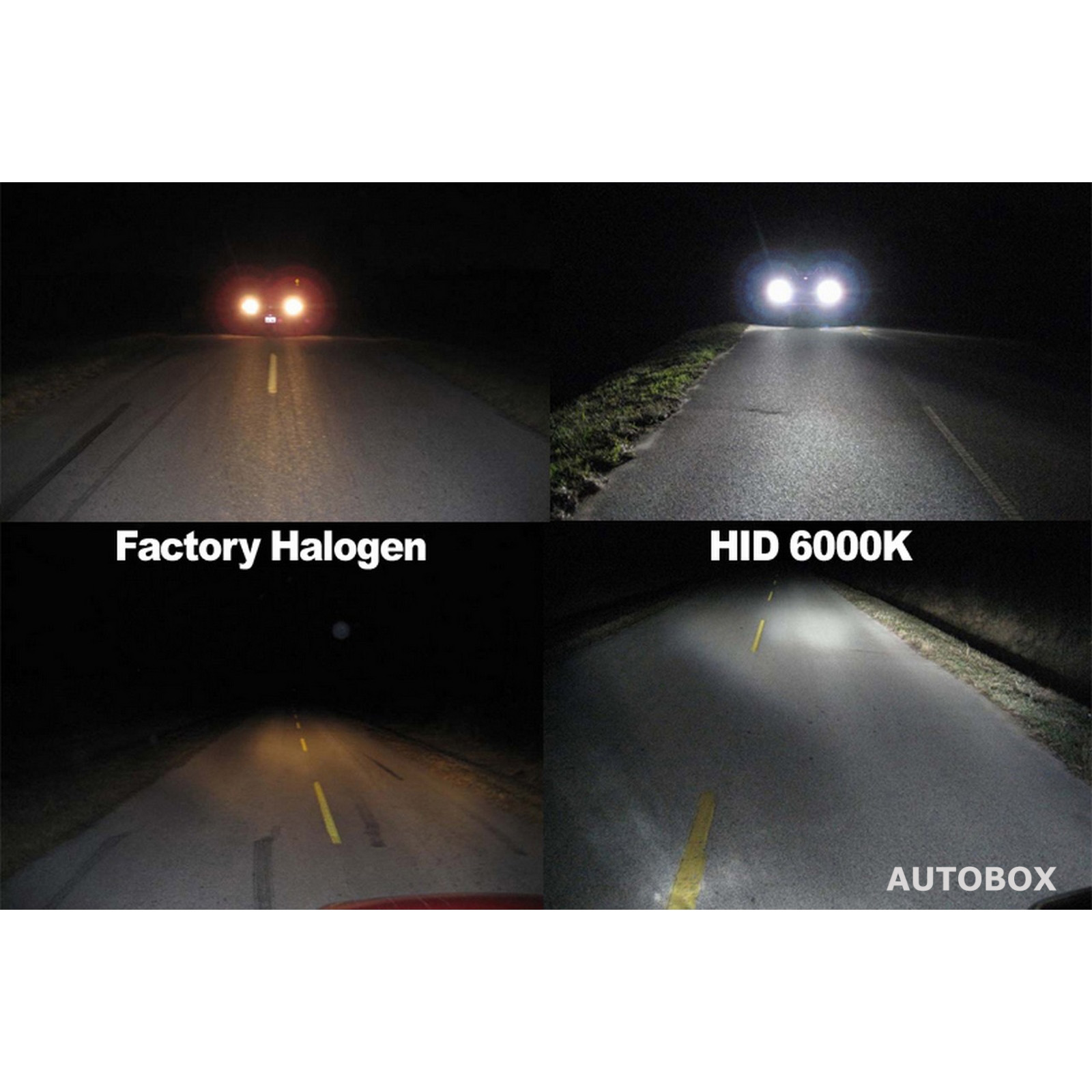 Low Beam VE Commodore Ser 1 & 2 H7 HID Max Light Bulb Kit 6000K Xenon Lamp  HSV - Autotecnica