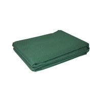 COAST TRAVELITE Multi-Purpose Caravan Floor Mat GREEN 250cm x 300cm  Foamed PVC