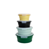 New Food Grade Collapsible Silicone Set of 4 Bowl Container Caravan Camping