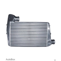 Intercooler BA BF